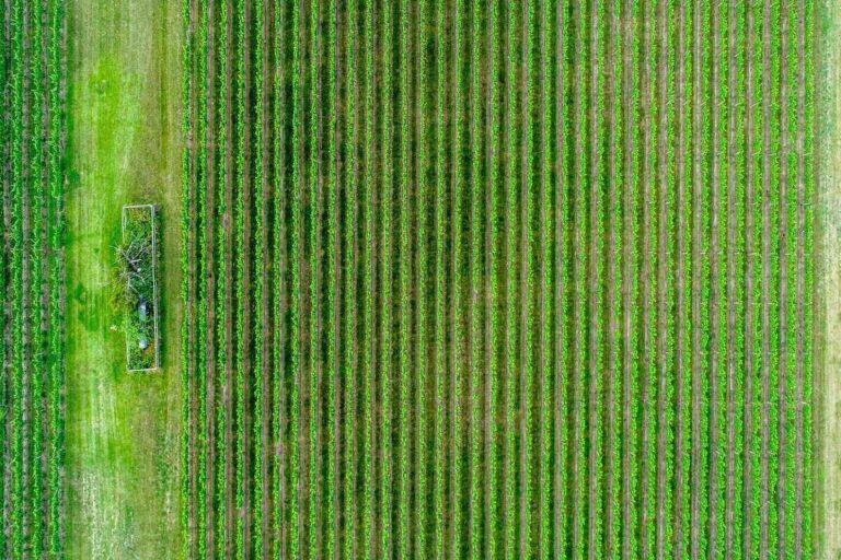 Vrei să achiziționezi un teren? Află la ce trebuie să fii atent!