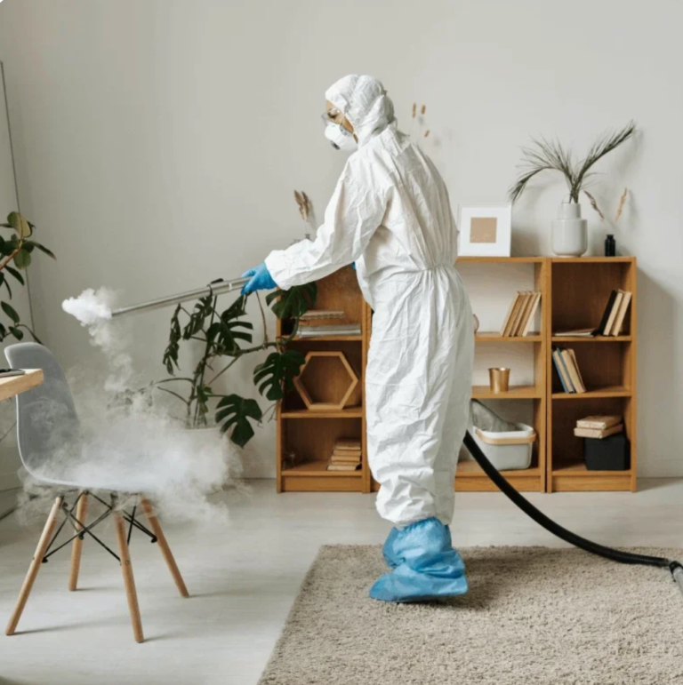 desinsectie