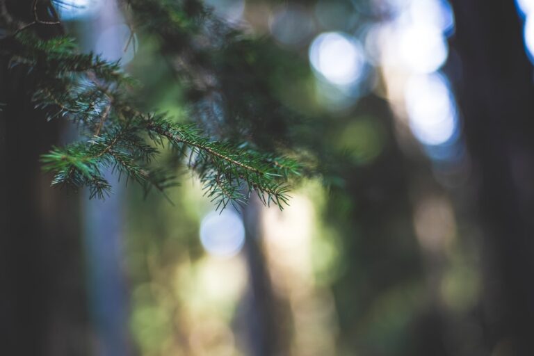 Photo Resource allocation