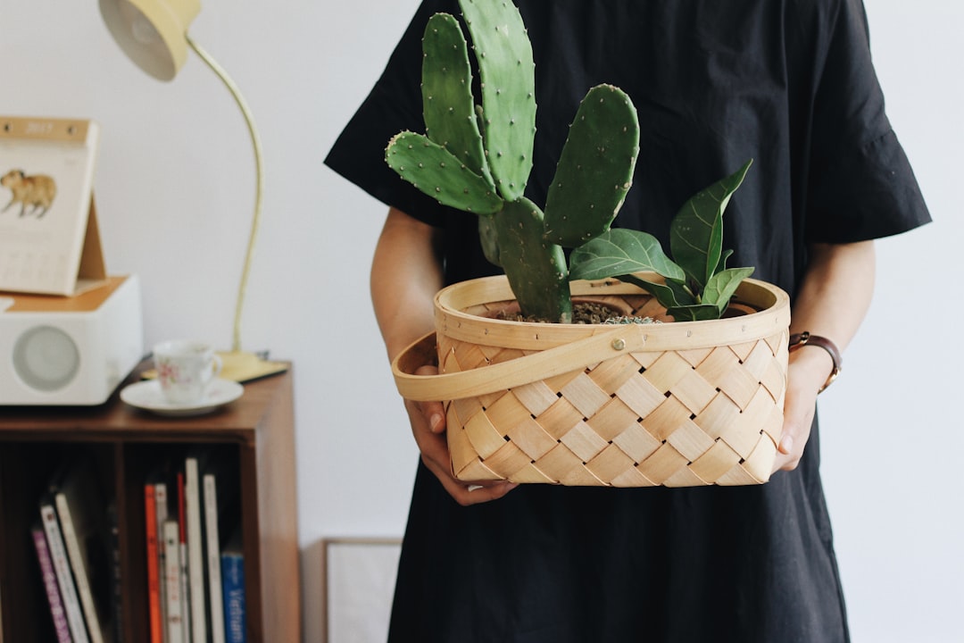 Photo Steamer basket