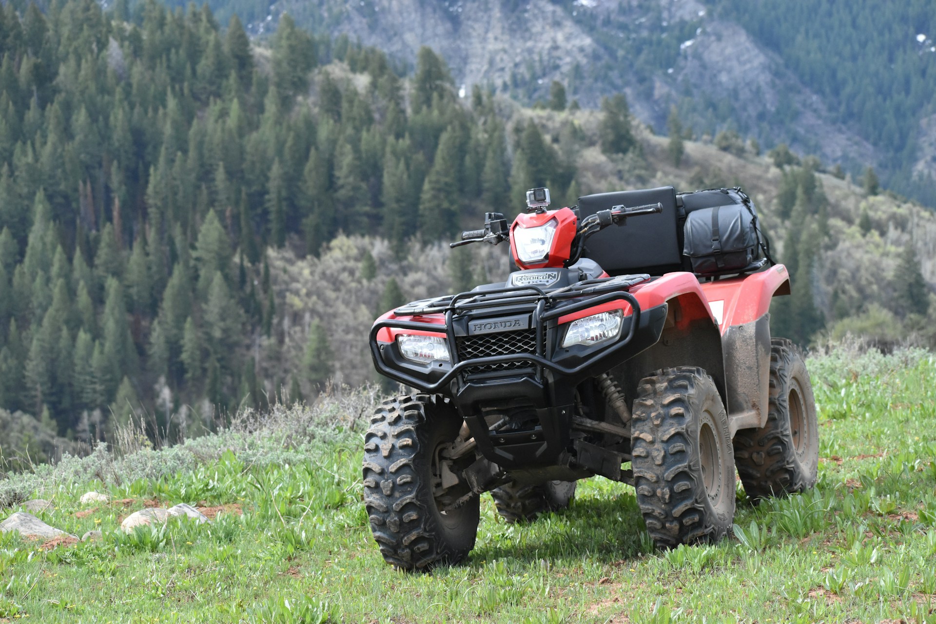 bullbar