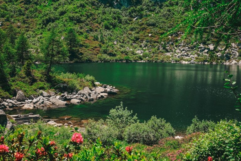 Photo Beautiful garden