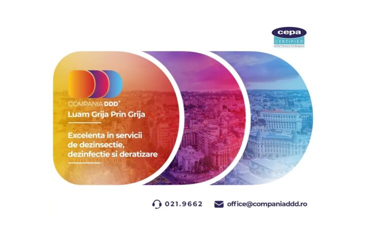 1761405967_68fcec0f86fa7_compania-ddd