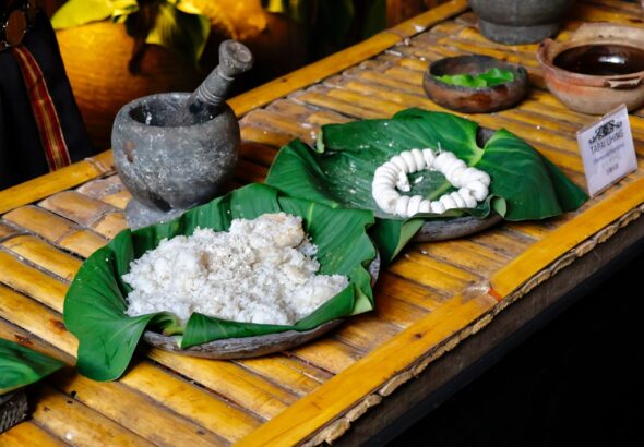 Photo gastronomic tours