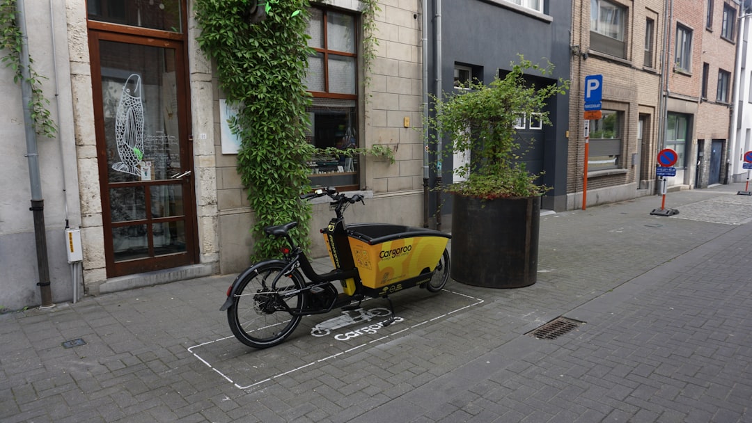 Photo electric bike rentals