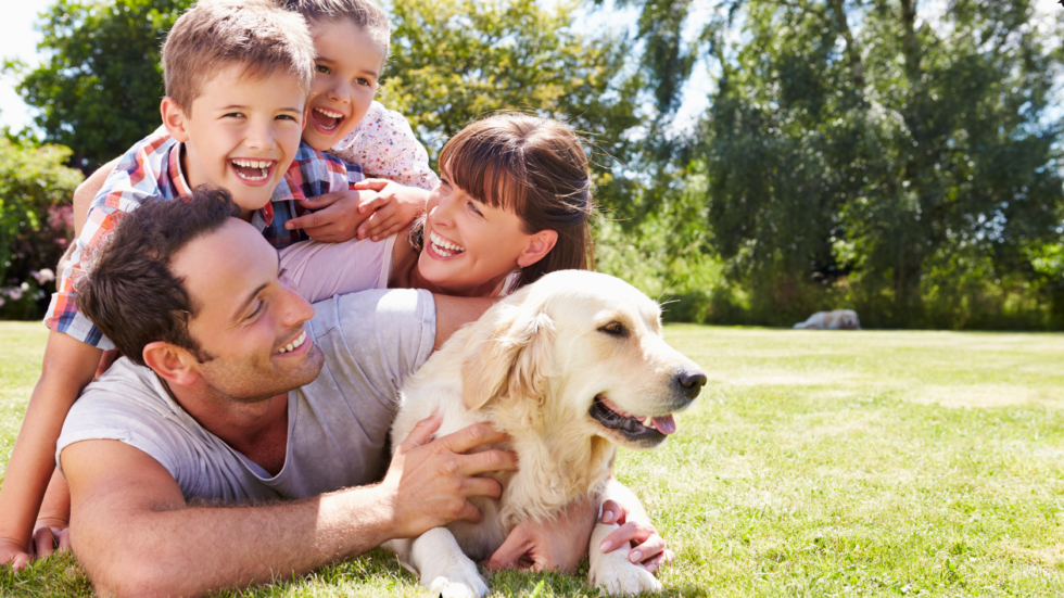 Povestea unui părinte: cum am corectat postura copilului meu