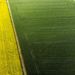 pexels-masoodaslami-32047271