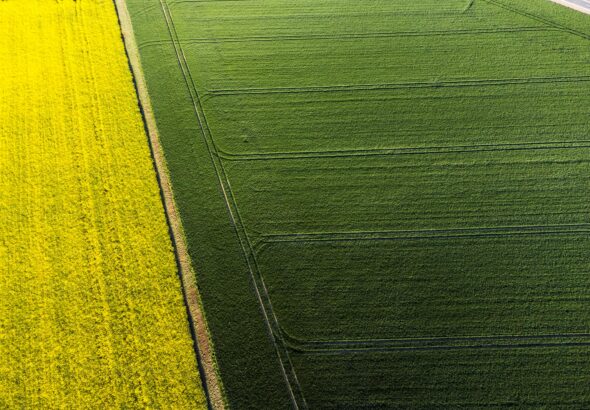 pexels-masoodaslami-32047271