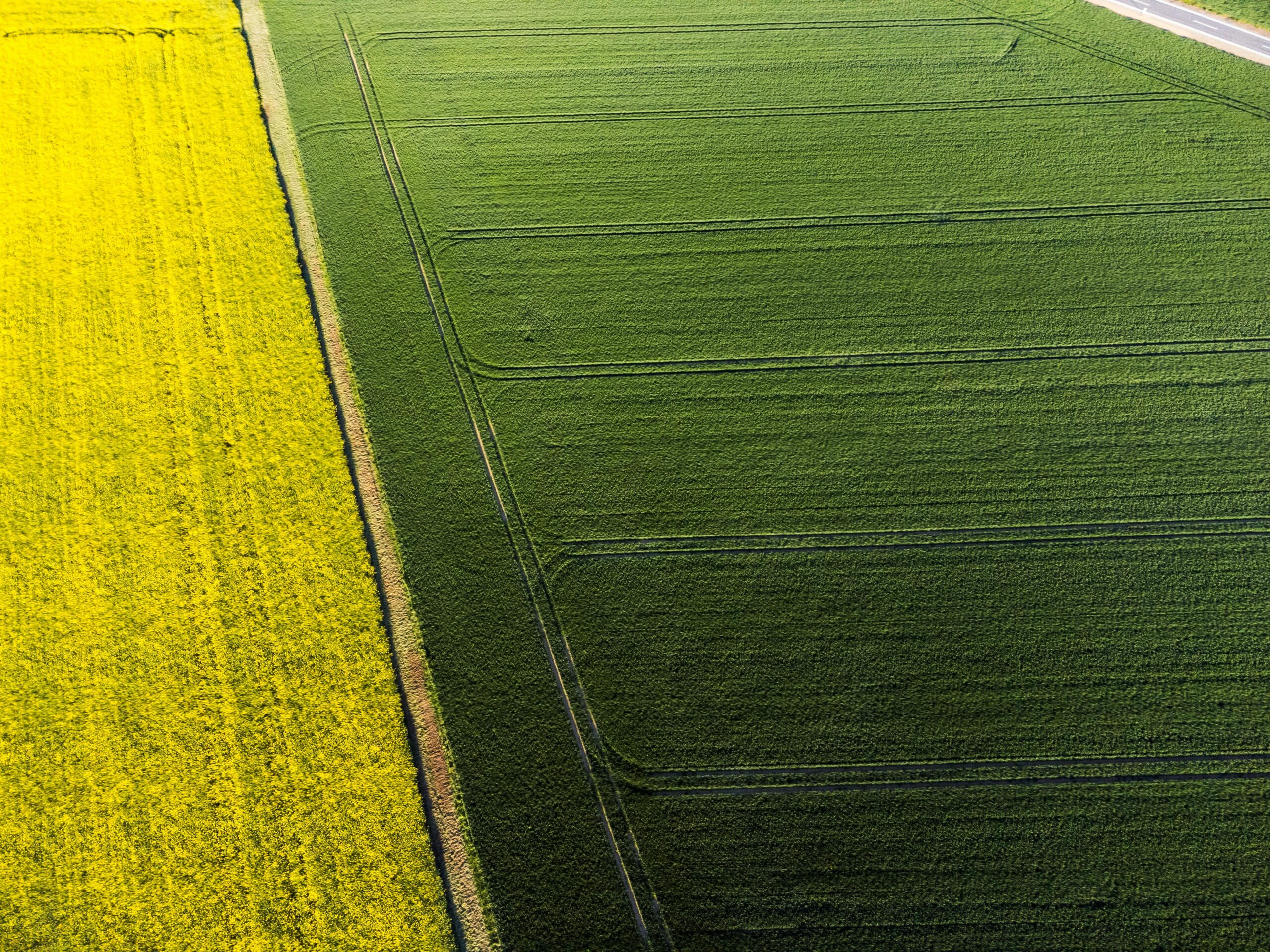 pexels-masoodaslami-32047271