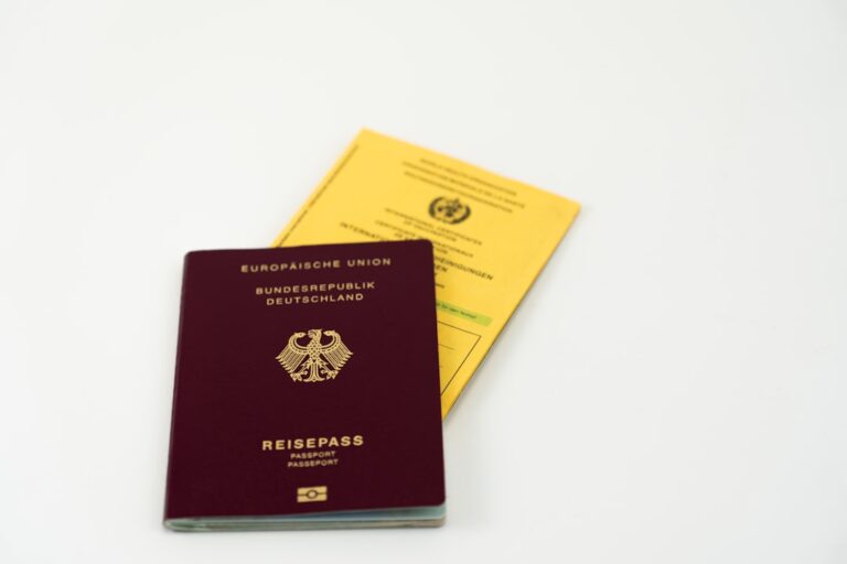 Photo new passports and identity documents