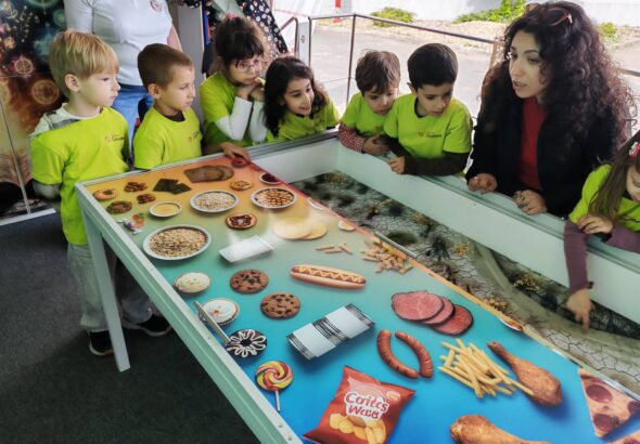 taramul-cunoasterii-gradinita-sector-3-bucuresti